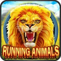 RUNNING ANIMALS