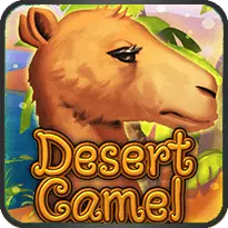 DESSERT CAMEL