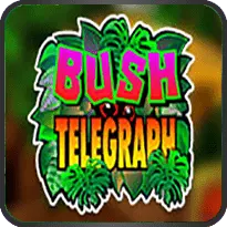 BUSH TELEGRAPH